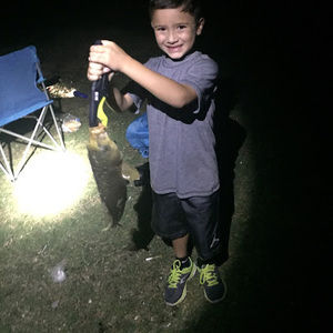 Meet your Posher, Willie wade